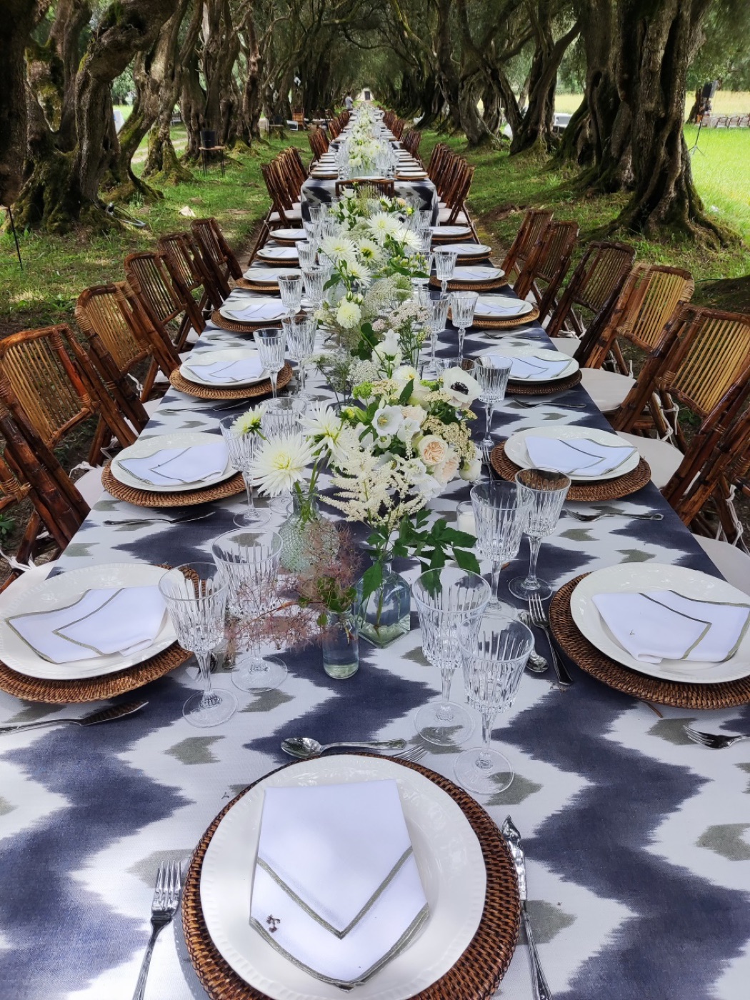 Banquete entre olivos centenarios