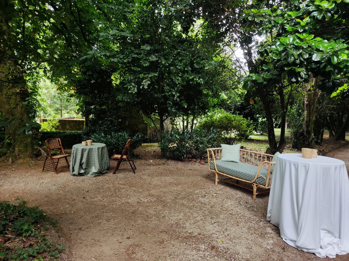 Lounge bosque